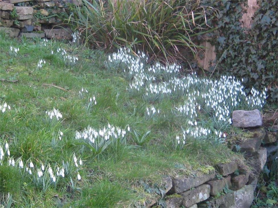 3 Bedroom House SE23 3QY Honor Oak Rise Pickwick Estates